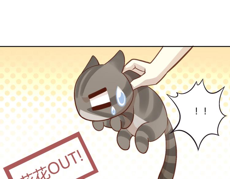 【猫爪之下】漫画-（第1话  猫主子驾到！）章节漫画下拉式图片-1079.jpg