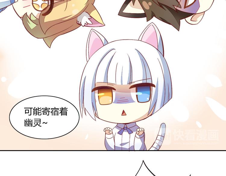 《猫爪之下》漫画最新章节第2话  守护者花花免费下拉式在线观看章节第【41】张图片