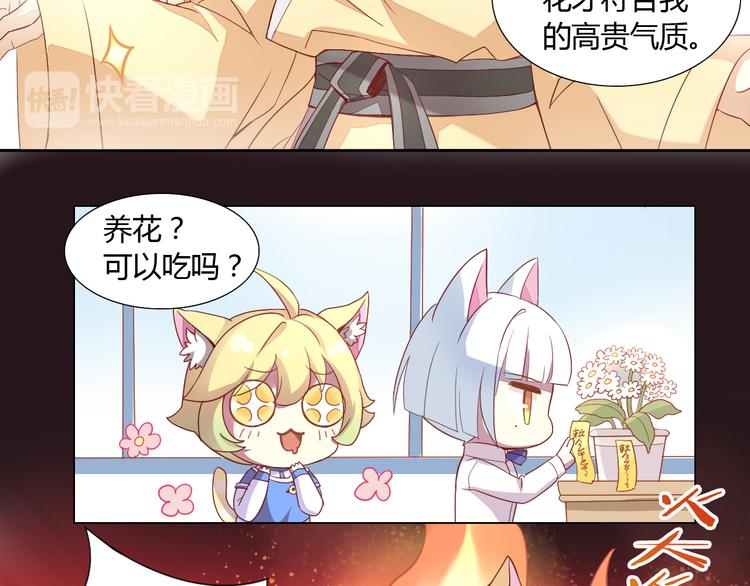 《猫爪之下》漫画最新章节第2话  守护者花花免费下拉式在线观看章节第【48】张图片