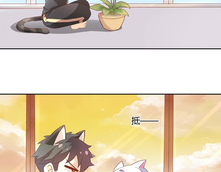 《猫爪之下》漫画最新章节第2话  守护者花花免费下拉式在线观看章节第【59】张图片