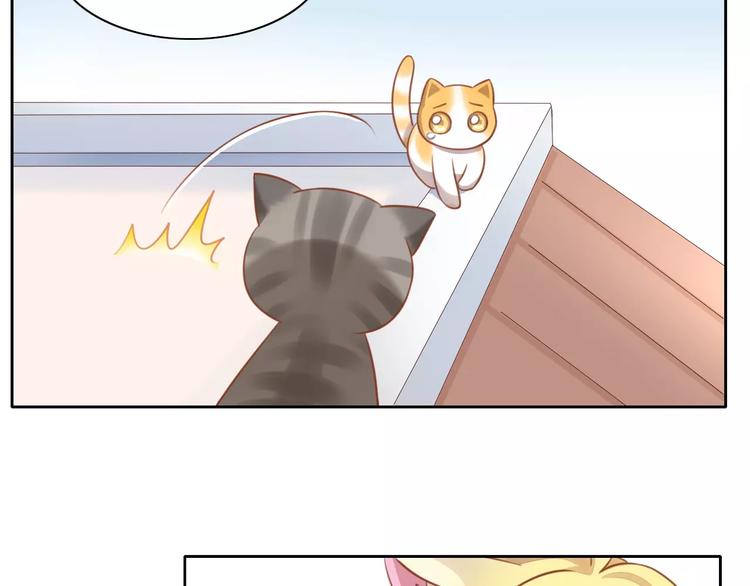 《猫爪之下》漫画最新章节第11话  少年的心思猜不透免费下拉式在线观看章节第【55】张图片