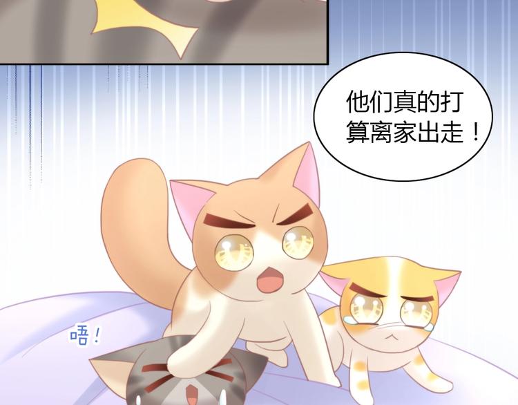 《猫爪之下》漫画最新章节第100话 离开免费下拉式在线观看章节第【23】张图片