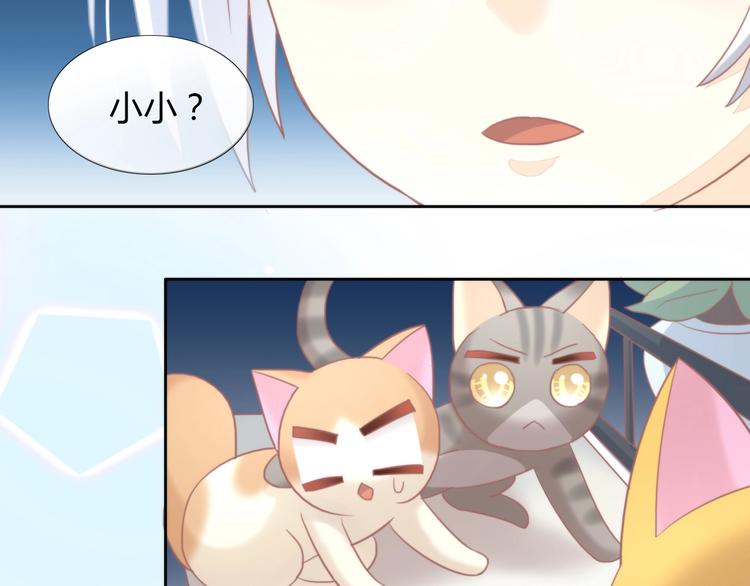 《猫爪之下》漫画最新章节第100话 离开免费下拉式在线观看章节第【51】张图片