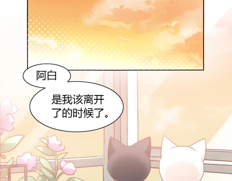 《猫爪之下》漫画最新章节第100话 离开免费下拉式在线观看章节第【64】张图片