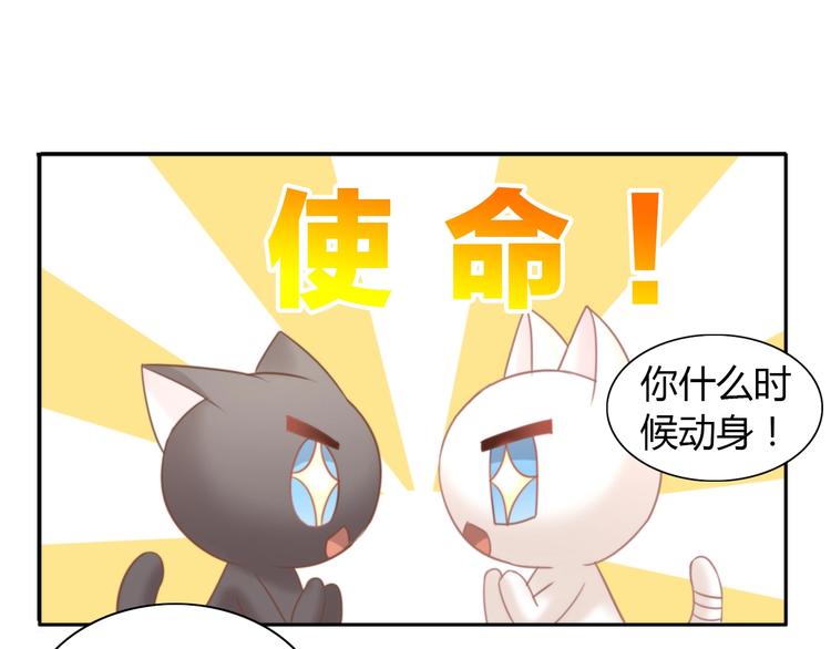 《猫爪之下》漫画最新章节第100话 离开免费下拉式在线观看章节第【74】张图片