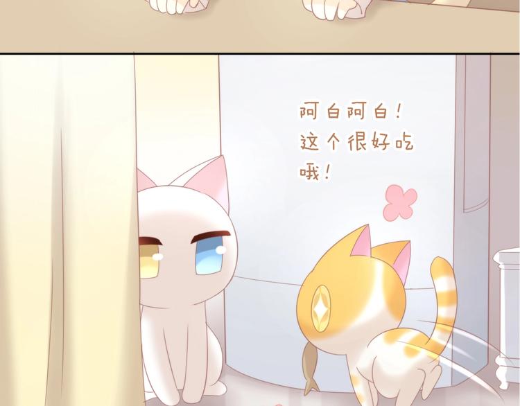 《猫爪之下》漫画最新章节第100话 离开免费下拉式在线观看章节第【8】张图片