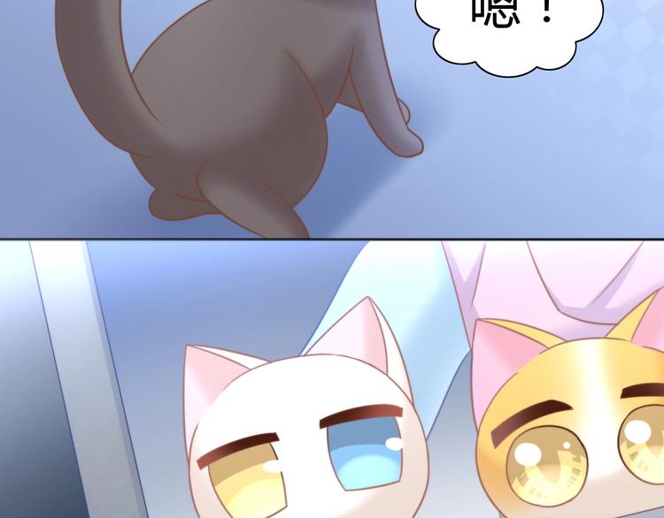 《猫爪之下》漫画最新章节第100话 离开免费下拉式在线观看章节第【85】张图片