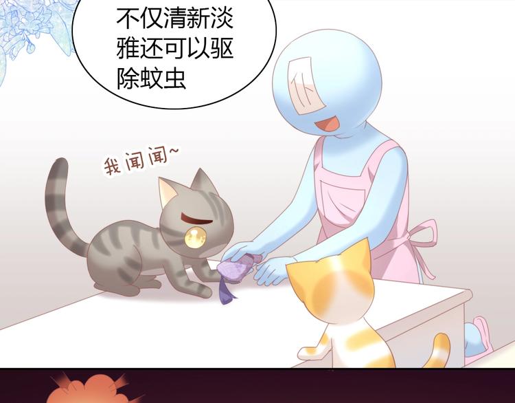 《猫爪之下》漫画最新章节第101话 端午节礼物免费下拉式在线观看章节第【19】张图片