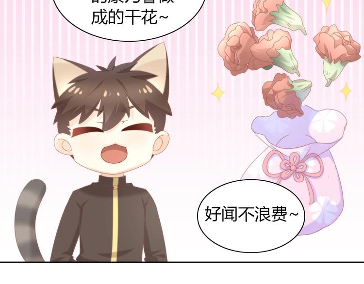 《猫爪之下》漫画最新章节第101话 端午节礼物免费下拉式在线观看章节第【47】张图片