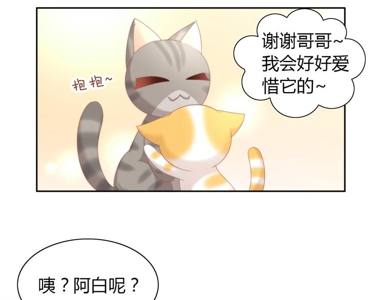 《猫爪之下》漫画最新章节第101话 端午节礼物免费下拉式在线观看章节第【48】张图片