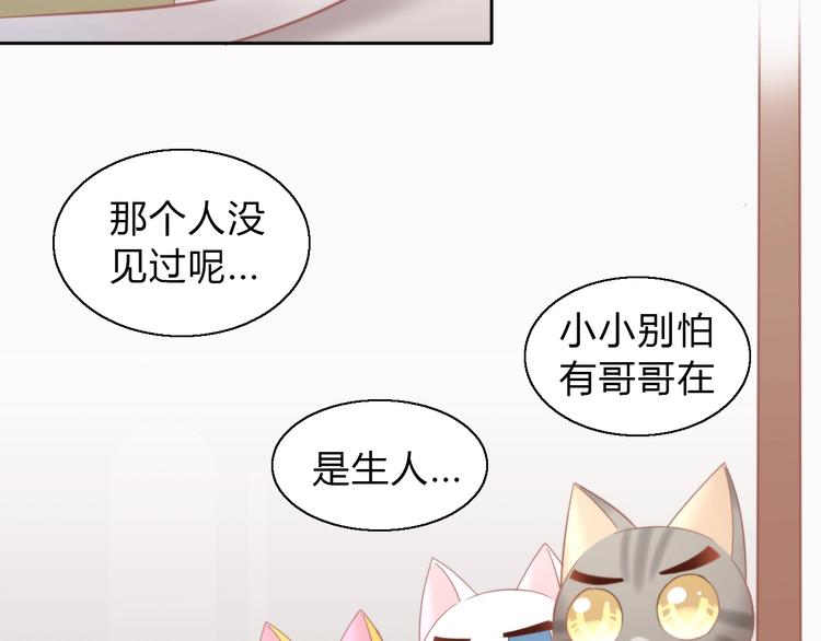 《猫爪之下》漫画最新章节第103话 迷之制茶师免费下拉式在线观看章节第【14】张图片