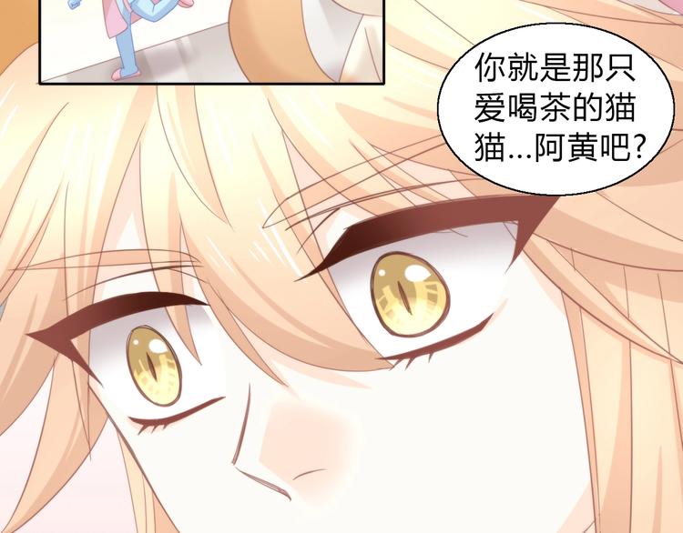 《猫爪之下》漫画最新章节第103话 迷之制茶师免费下拉式在线观看章节第【44】张图片