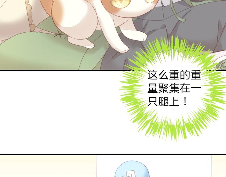 《猫爪之下》漫画最新章节第103话 迷之制茶师免费下拉式在线观看章节第【52】张图片