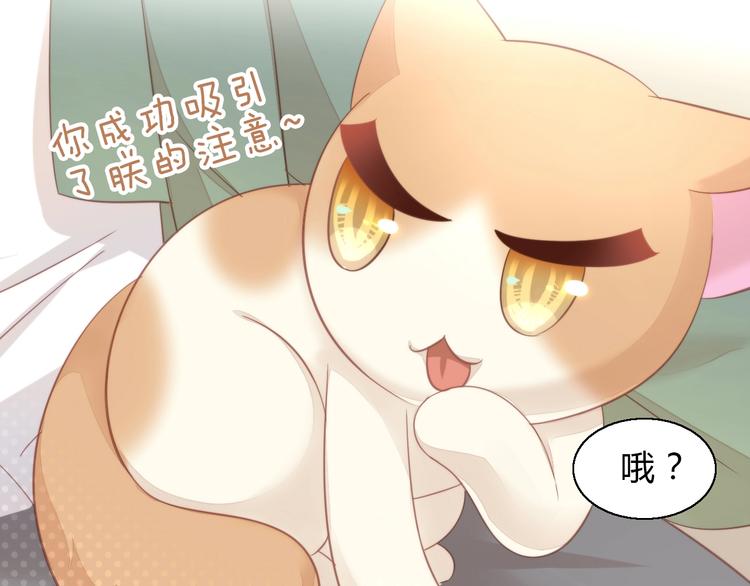 《猫爪之下》漫画最新章节第103话 迷之制茶师免费下拉式在线观看章节第【58】张图片