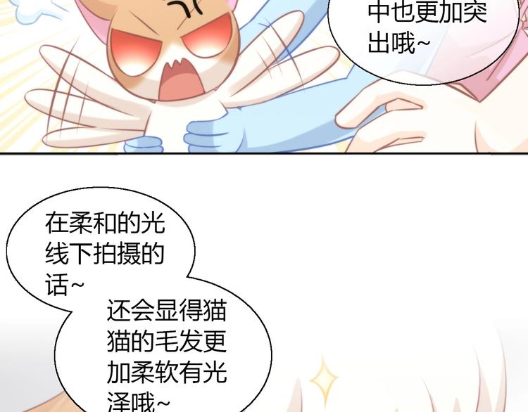 《猫爪之下》漫画最新章节第104话 照骗免费下拉式在线观看章节第【50】张图片