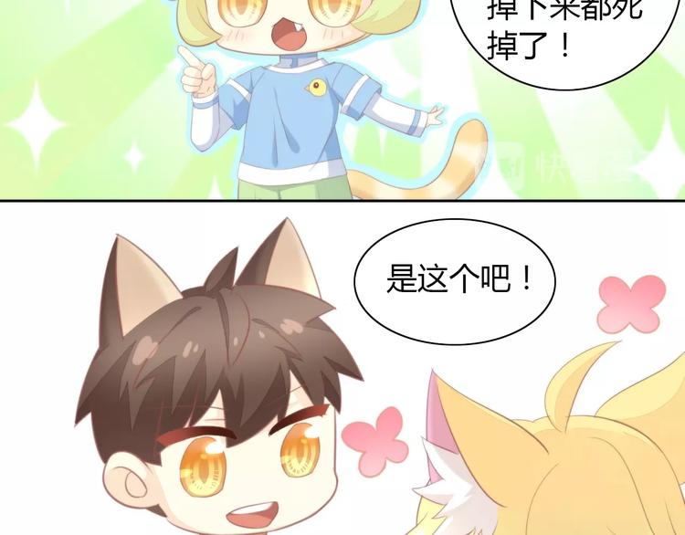 《猫爪之下》漫画最新章节第105话 蚊子战争免费下拉式在线观看章节第【17】张图片