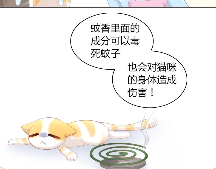 《猫爪之下》漫画最新章节第105话 蚊子战争免费下拉式在线观看章节第【22】张图片