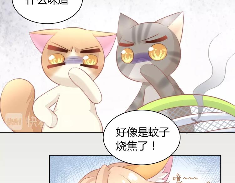 《猫爪之下》漫画最新章节第105话 蚊子战争免费下拉式在线观看章节第【33】张图片