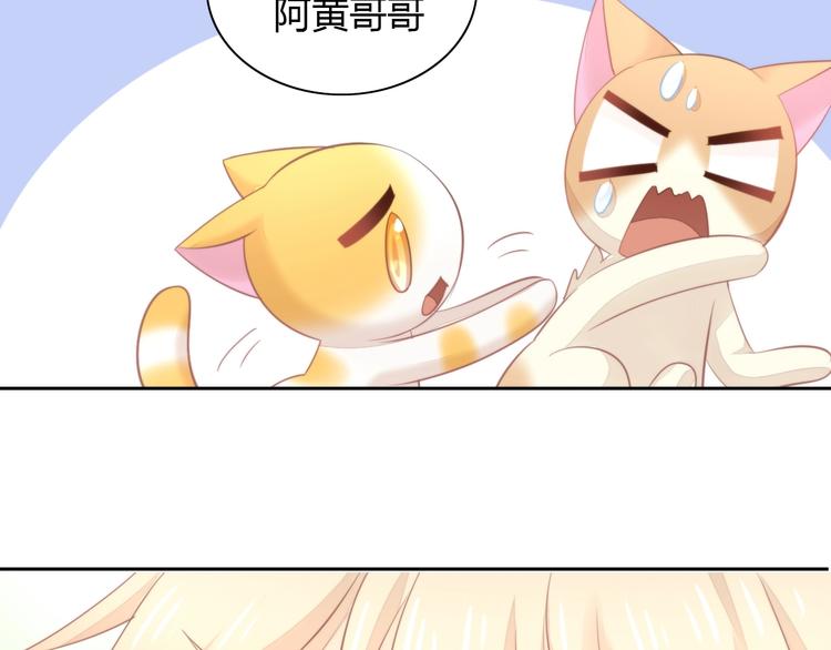 《猫爪之下》漫画最新章节第105话 蚊子战争免费下拉式在线观看章节第【85】张图片