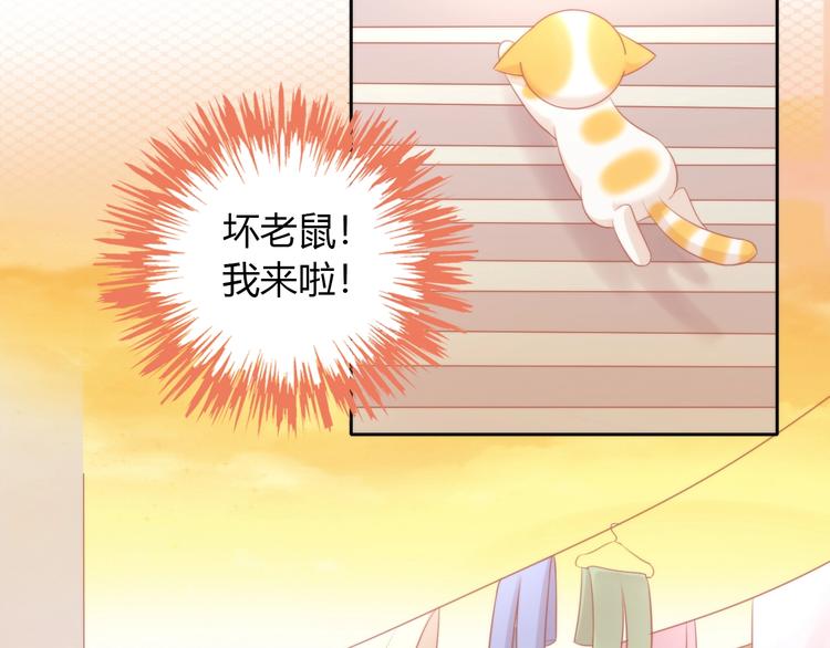 《猫爪之下》漫画最新章节第106话 猫怕老鼠免费下拉式在线观看章节第【60】张图片