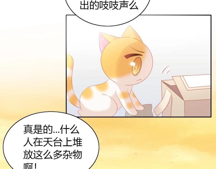 《猫爪之下》漫画最新章节第106话 猫怕老鼠免费下拉式在线观看章节第【70】张图片