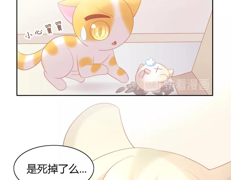 《猫爪之下》漫画最新章节第107话  仓鼠式晕厥免费下拉式在线观看章节第【13】张图片