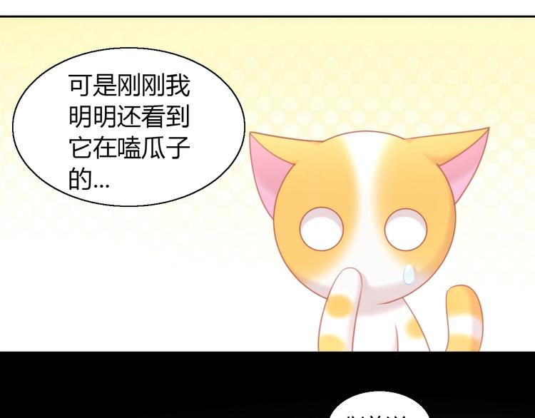 《猫爪之下》漫画最新章节第107话  仓鼠式晕厥免费下拉式在线观看章节第【15】张图片