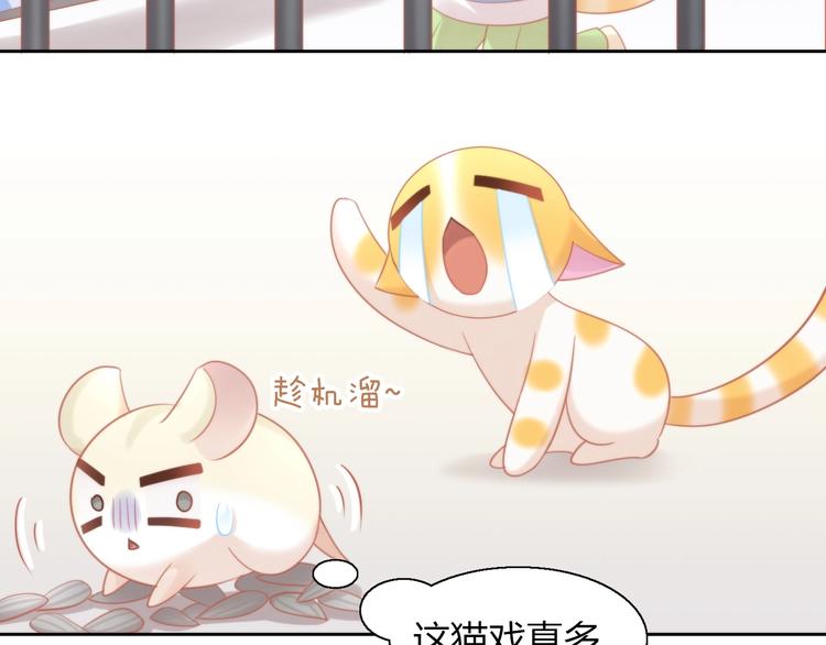 《猫爪之下》漫画最新章节第107话  仓鼠式晕厥免费下拉式在线观看章节第【23】张图片