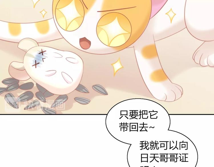 《猫爪之下》漫画最新章节第107话  仓鼠式晕厥免费下拉式在线观看章节第【27】张图片