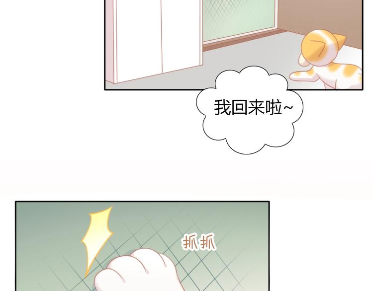 《猫爪之下》漫画最新章节第107话  仓鼠式晕厥免费下拉式在线观看章节第【30】张图片