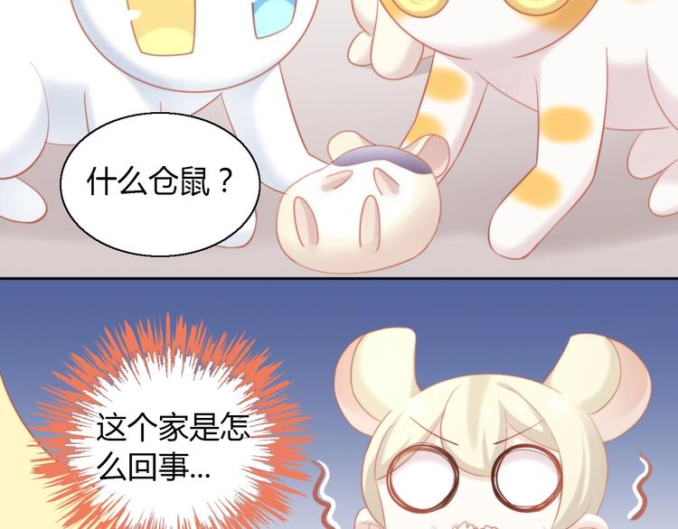 《猫爪之下》漫画最新章节第107话  仓鼠式晕厥免费下拉式在线观看章节第【44】张图片