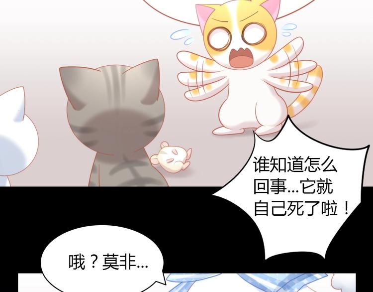 《猫爪之下》漫画最新章节第107话  仓鼠式晕厥免费下拉式在线观看章节第【51】张图片