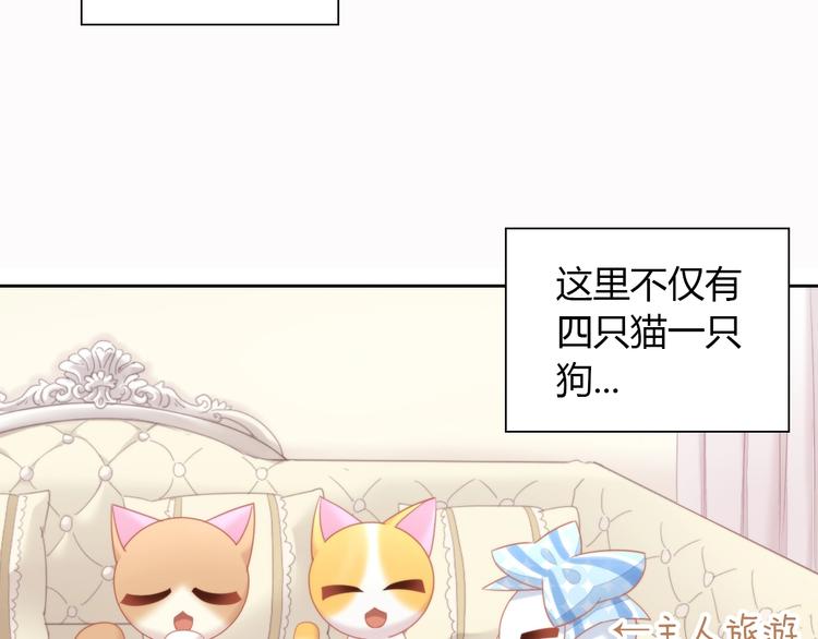 《猫爪之下》漫画最新章节第108话 仓鼠也有梦想！免费下拉式在线观看章节第【11】张图片