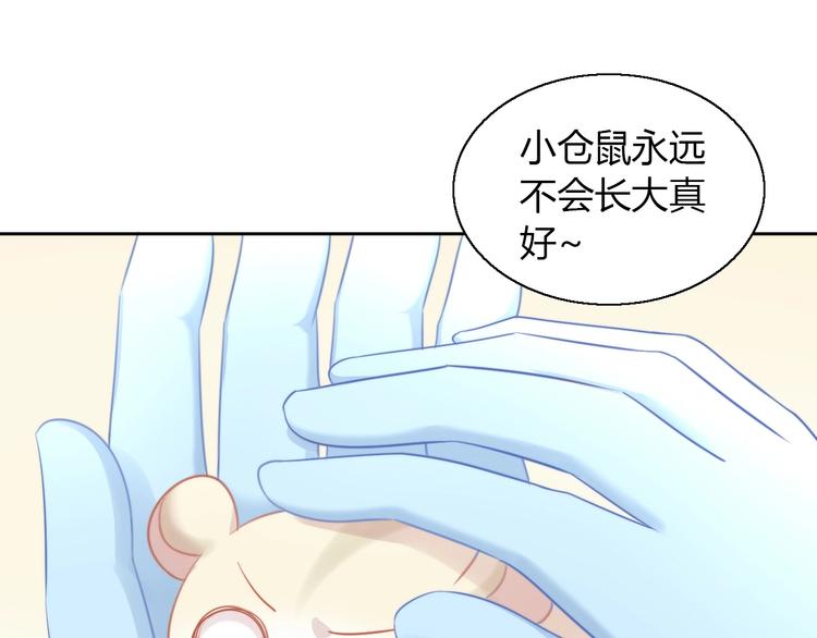 《猫爪之下》漫画最新章节第108话 仓鼠也有梦想！免费下拉式在线观看章节第【17】张图片