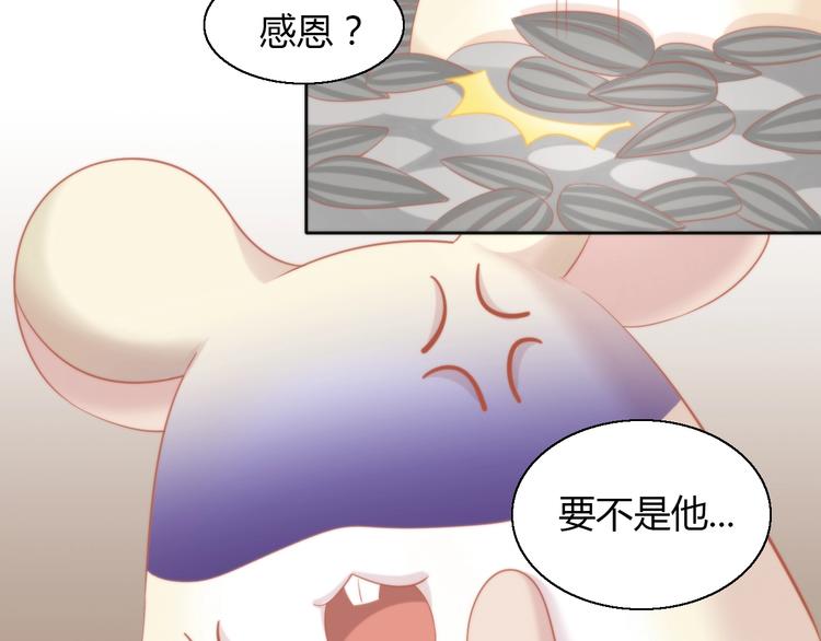 《猫爪之下》漫画最新章节第108话 仓鼠也有梦想！免费下拉式在线观看章节第【48】张图片