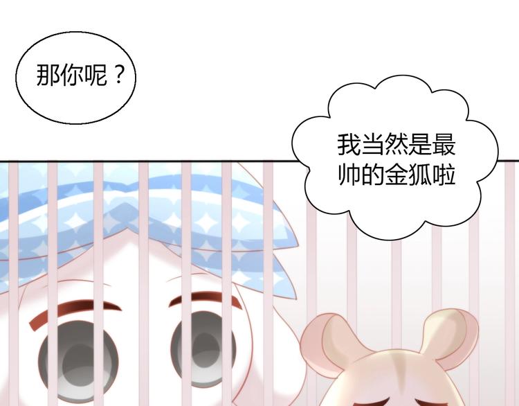 《猫爪之下》漫画最新章节第108话 仓鼠也有梦想！免费下拉式在线观看章节第【54】张图片