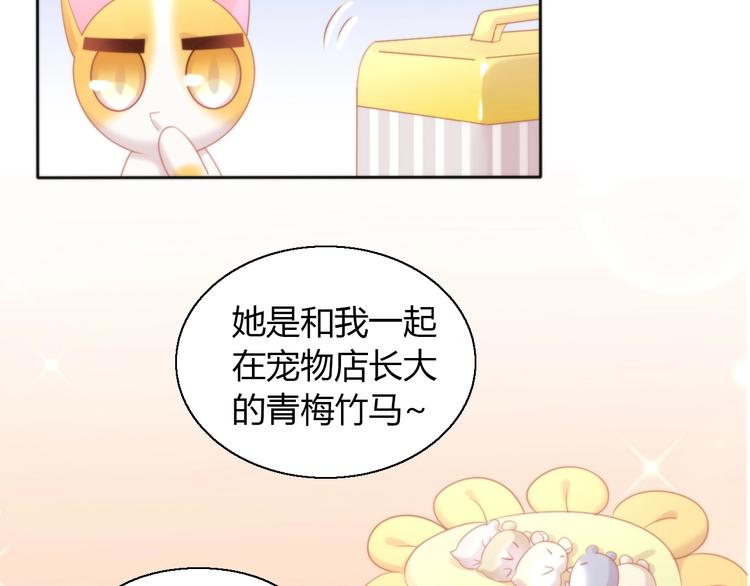 《猫爪之下》漫画最新章节第108话 仓鼠也有梦想！免费下拉式在线观看章节第【56】张图片