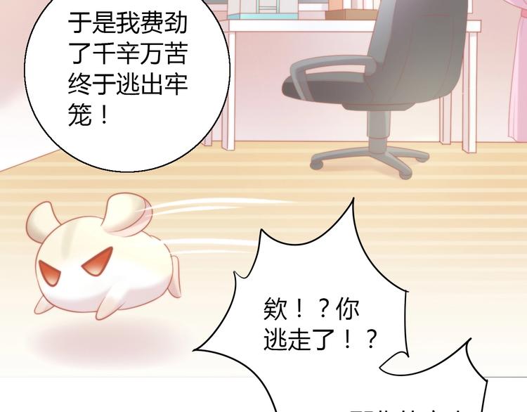 《猫爪之下》漫画最新章节第108话 仓鼠也有梦想！免费下拉式在线观看章节第【64】张图片