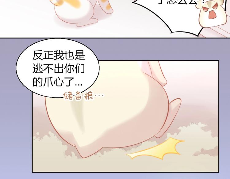 《猫爪之下》漫画最新章节第108话 仓鼠也有梦想！免费下拉式在线观看章节第【82】张图片