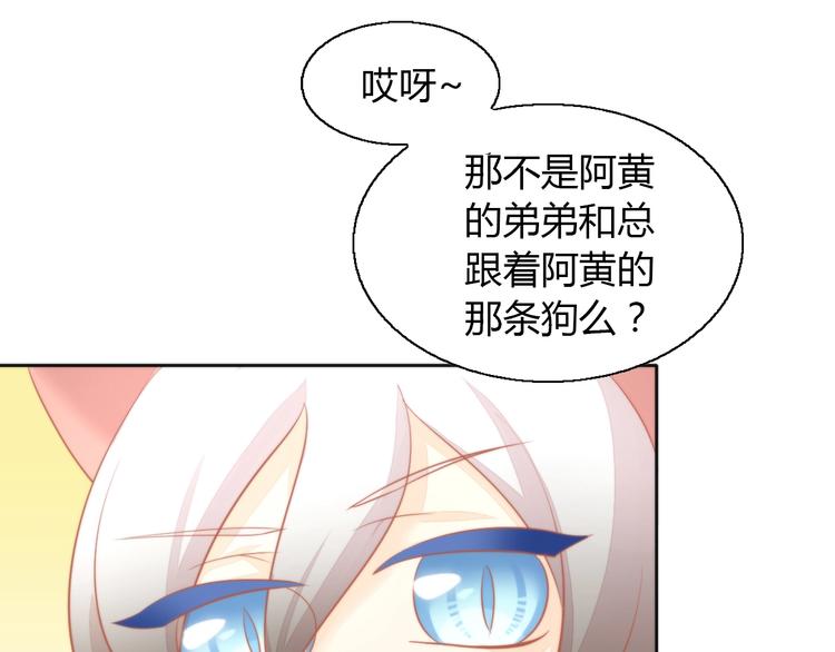 《猫爪之下》漫画最新章节第109话 小紫免费下拉式在线观看章节第【33】张图片