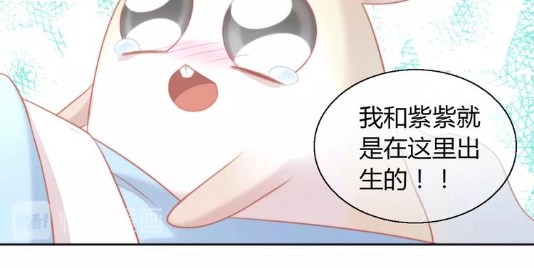 《猫爪之下》漫画最新章节第109话 小紫免费下拉式在线观看章节第【43】张图片