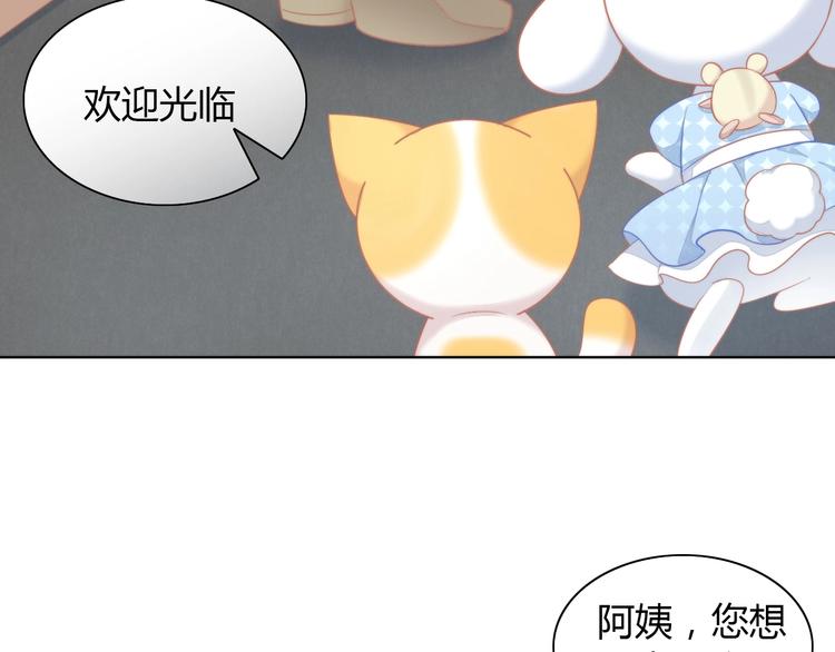 《猫爪之下》漫画最新章节第109话 小紫免费下拉式在线观看章节第【63】张图片