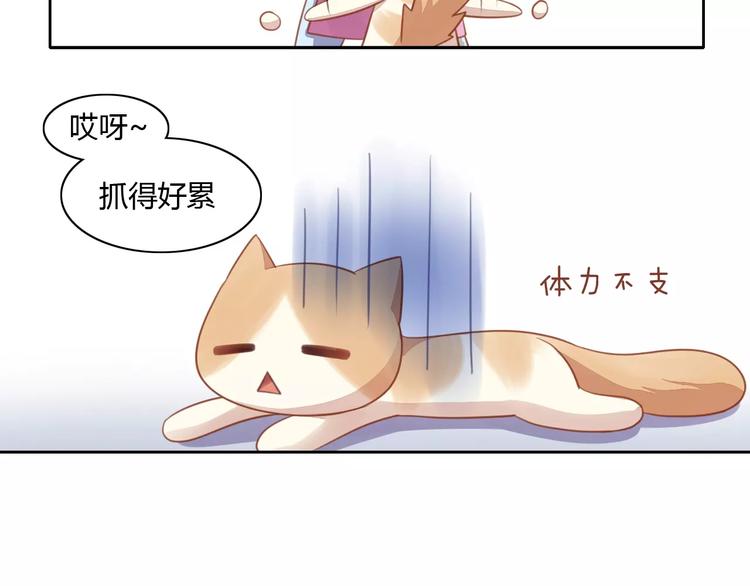 《猫爪之下》漫画最新章节第12话  纸箱争夺战免费下拉式在线观看章节第【37】张图片