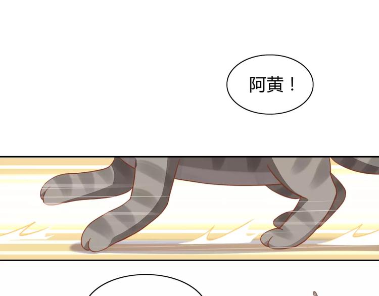 《猫爪之下》漫画最新章节第12话  纸箱争夺战免费下拉式在线观看章节第【38】张图片