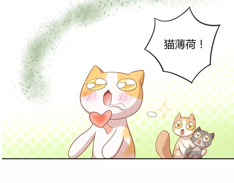 《猫爪之下》漫画最新章节第12话  纸箱争夺战免费下拉式在线观看章节第【58】张图片