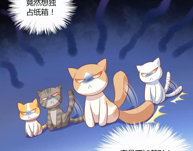 《猫爪之下》漫画最新章节第12话  纸箱争夺战免费下拉式在线观看章节第【80】张图片