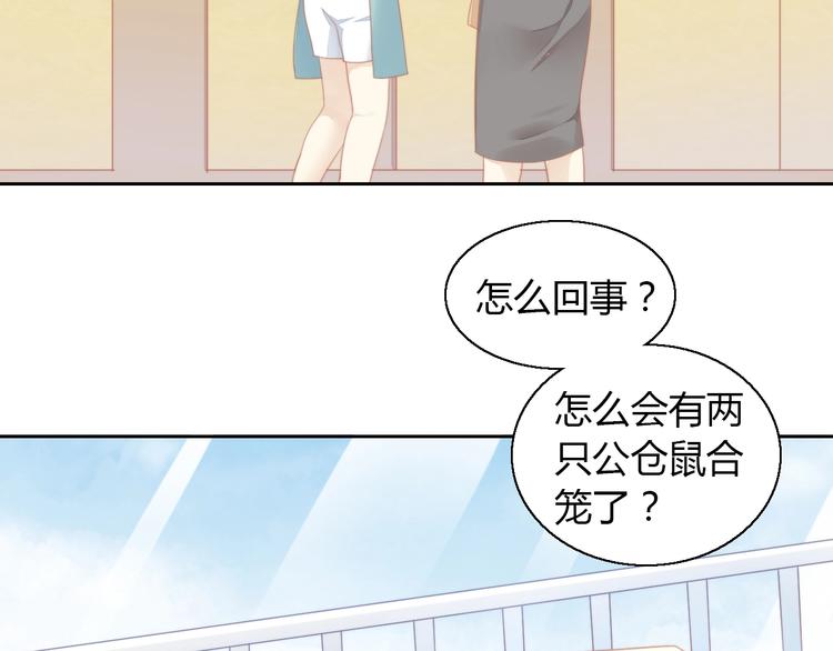 《猫爪之下》漫画最新章节第110话 有情鼠终成眷属免费下拉式在线观看章节第【74】张图片