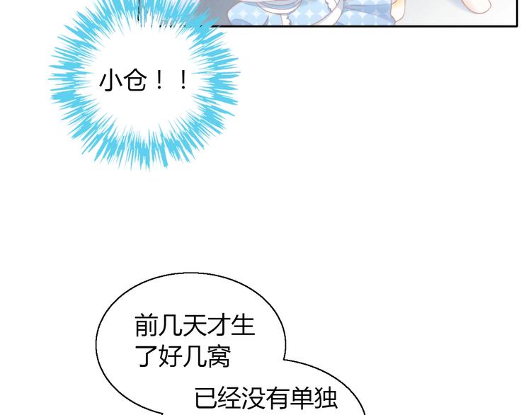 《猫爪之下》漫画最新章节第110话 有情鼠终成眷属免费下拉式在线观看章节第【78】张图片