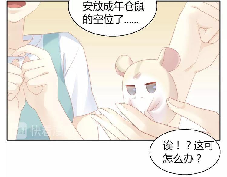 《猫爪之下》漫画最新章节第110话 有情鼠终成眷属免费下拉式在线观看章节第【79】张图片