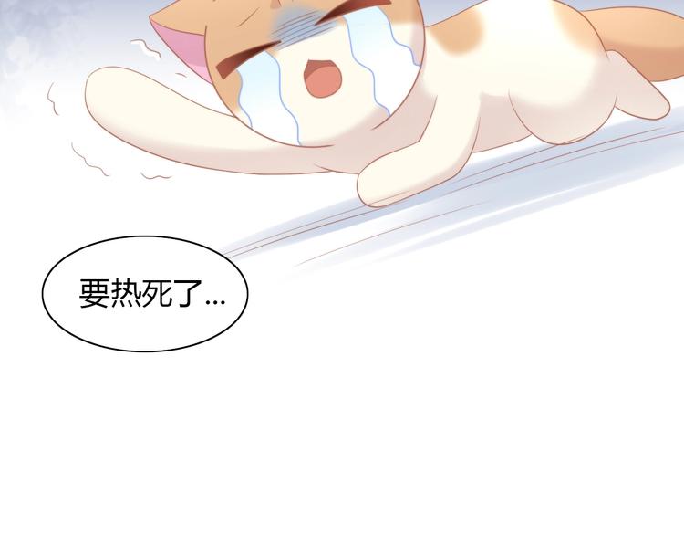 《猫爪之下》漫画最新章节第111话 失去空调的夏天免费下拉式在线观看章节第【35】张图片